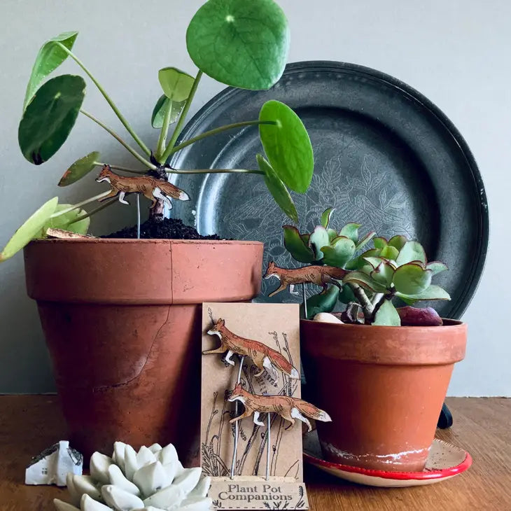 Plant Pot Companions