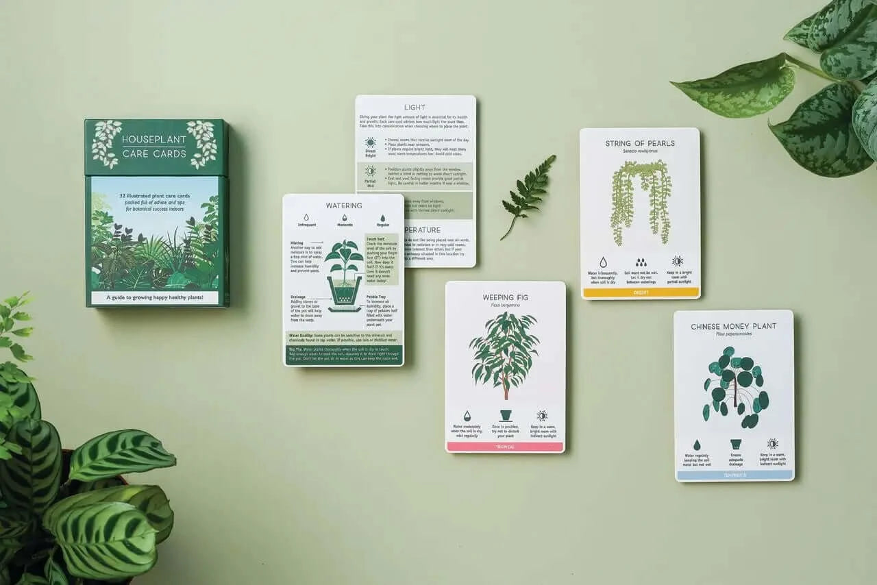 Houseplant Care Cards - Botanische Tipps & Ratschläge