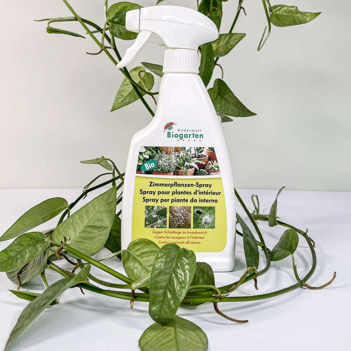 Spray pour plantes d'intérieur 500ml