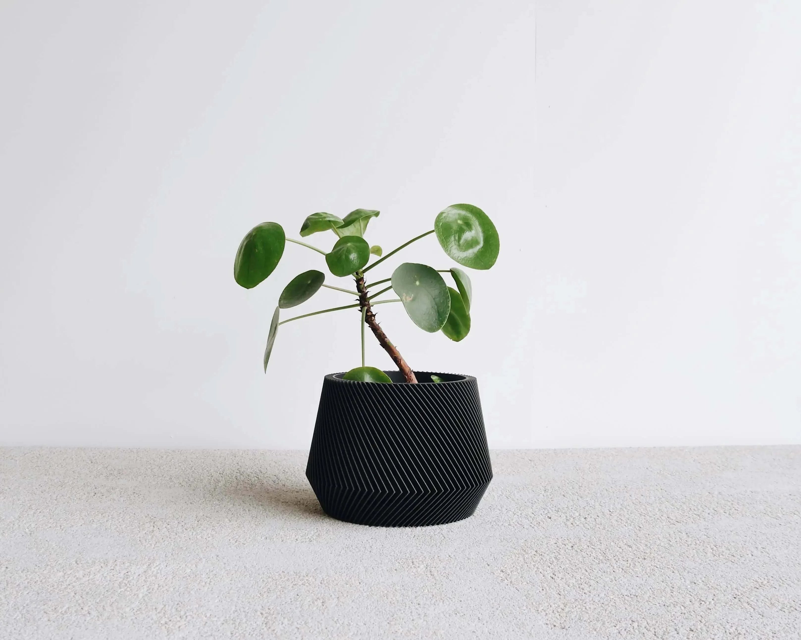 Oslo XL plant pot